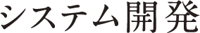 システム開発